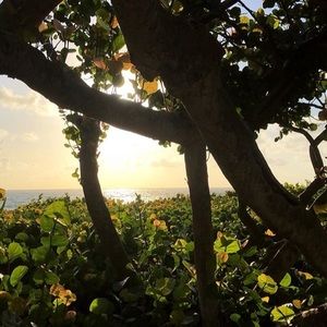 Meet your Posher, Marlene